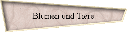 Blumen und Tiere