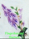 Fingerhut auf
Hastuch