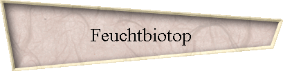 Feuchtbiotop
