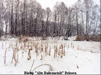 Biotop 