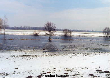 Spreehochwasser
