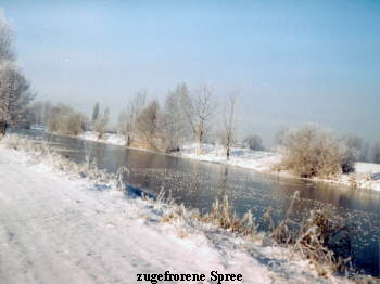 zugefrorene Spree