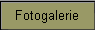 Fotogalerie