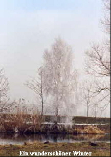 Ein wundersch�ner Winter