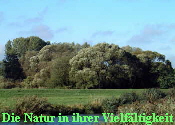 Die Natur in ihrer Vielf�ltigkeit