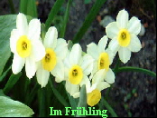 Im Fr�hling