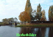 Herbstbilder