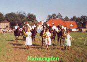 Hahnrupfen