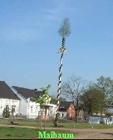 Maibaum